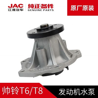 그림과 고급 스타일 JAC T6 오리지널 물 펌프 1027110GD190