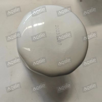 교체/수리 목적 JAC 선레이 자동차 필터 D25 부품에 대한 OE 번호 X251313